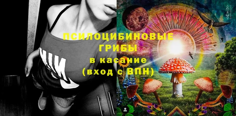 Галлюциногенные грибы MAGIC MUSHROOMS  Новозыбков 